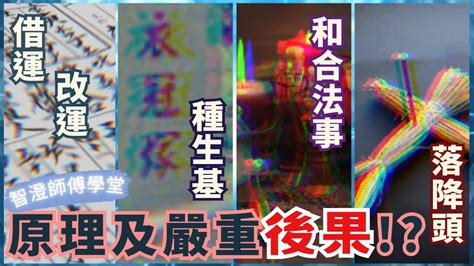 種生基代價|【種生基代價】揭露種生基的代價：你不可不知的真相